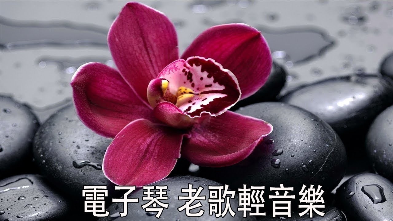 【非常好聽】 👍👍 夜晚最適合聽的 老歌輕音樂 放鬆解壓 🎷 劉清池懷念金曲精華集 | 精選懷念老歌輕音樂 特殊音樂演奏曲 | 老歌会勾起往日的回忆 Relaxing Chinese Music