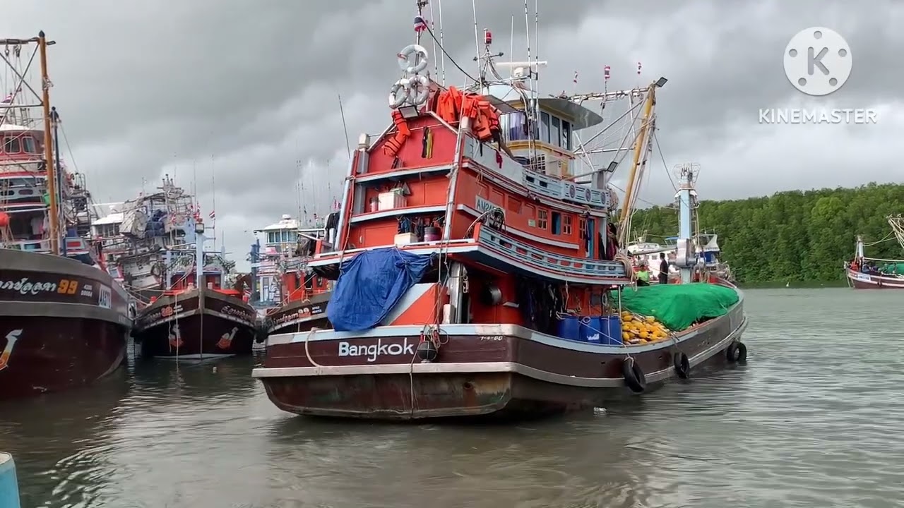 เรืออวนดำ โดนน็อค?วิ่งไวไป!เลยปลา!knocked out