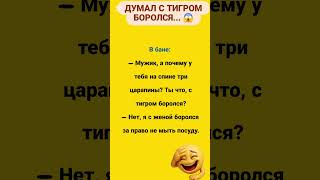 Царапины на спине: жена или тигр? 🐅 Вся правда о быте