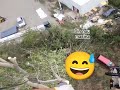 ARBORIST CLUJ - TAIERE PLOP ZONA INDUSTRIALA