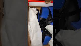 nikedunk satisfying cover