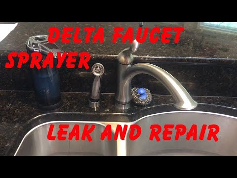 7 Delta Faucet Leak And Sprayer