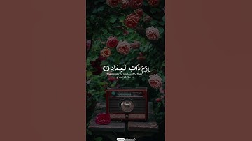 أَلَمۡ تَرَ كَيۡفَ فَعَلَ رَبُّكَ بِعَادٍ (محمد صديق المنشاوي سوره الفجر #القرآن_الكريم #أفضل_تلاوة