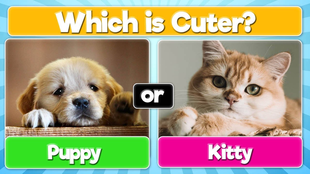 Which Animal is Cuter? 