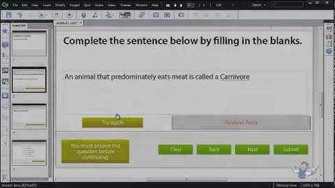 Adobe Captivate question demo