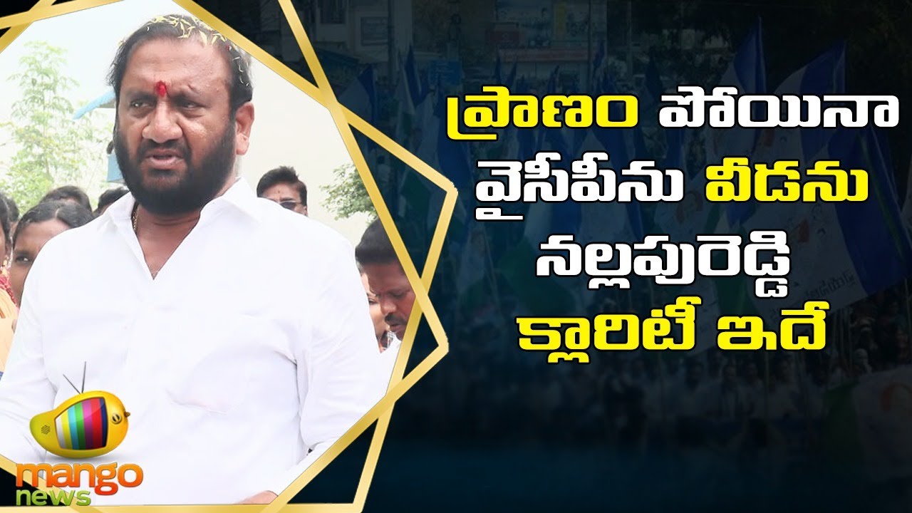 Prasanna Reddy YCP MLA Nallapareddy Prasanna Kumar Reddy Gives Clarity on Party Change ...