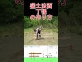 【丁張】の作り方｜盛土法面1：1.5(いちわりごぶ) #shorts #建設 #現場 #測量 #土木 #初心者 #法面 #丁張