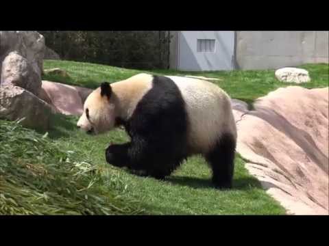 201503 2海浜再登場