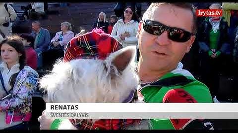 Gyvūnų dienoje stebino šuo „ponis“