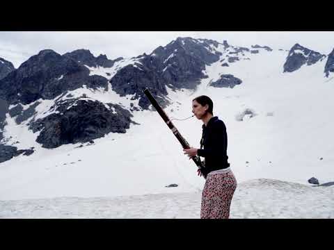 Bassoon in the Wind #10