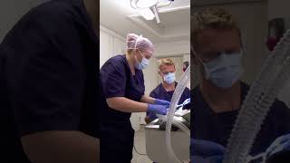 Pet Rabbits Enormous Teeth Get Removed ๐ฑ #shorts #bondivet #rabbit
Pet Rabbits Enormous Teeth Get Removed ๐ฑ #shorts #bondivet #rabbit
๐ถ Want to watch more? Subscribe to the Bondi Vet channel: https://www.youtube.com/c/BondiVet/featured?sub_confirmation=1
๐พ Full Episodes - https://youtube.com/playlist?list=PL2FmLWmdveeLb_tD0p9XKhU-CgS_ERLFI
๐ถ Bondi Vet Compilations: https://www.youtube.com/playlist?list=PL2FmLWmdveeJHIs5F-bb-6si58319Amre
๐ฐ Bondi Vet Shorts: https://www.youtube.com/playlist?list=PL2FmLWmdveeKiMw0-Y06gA2r-3bdZrdl_
Join this channel to get access to perks:
https://www.youtube.com/channel/UCRnSnAq44St3dzNdgPpfChA/join
Bondi Vet Apprentice:
๐พ Badges
๐ Emojis
๐ฑ Exclusive member-only videos
๐ First to hear about upcoming news
Bondi Vet Allstars:
๐ฆก All perks from Apprentice
๐ฆฉ Uncensored content
๐ฆฎ Updates on the animals
๐ป Bondi Vet is your ultimate content destination for all things pet and vet, including full episodes, stories, compilations and clips from the worlds favourite vet series. Make your world a better place and subscribe today!
๐ For pet product and vet services - https://www.bondivet.com/
Follow our social animals on
๐ Facebook - http://tinyurl.com/FacebookBondivet
๐ Instagram - http://tinyurl.com/InstagramBV
๐ฌ Website - https://bondivet.com/
Share The Love:
#BondiVet #animals #pets #dogs #cats #newbondivet #australiananimals #australia #vet #vetcare #documentary #petcare #petfacts Pet Rabbits Enormous Teeth Get Removed ๐ฑ #shorts #bondivet #rabbit