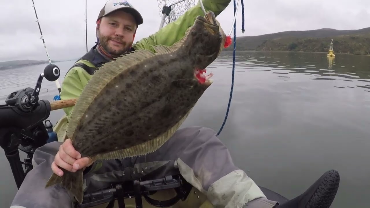 Kayak Fishing for Halibut in Tomales Bay (Net Gaffe)