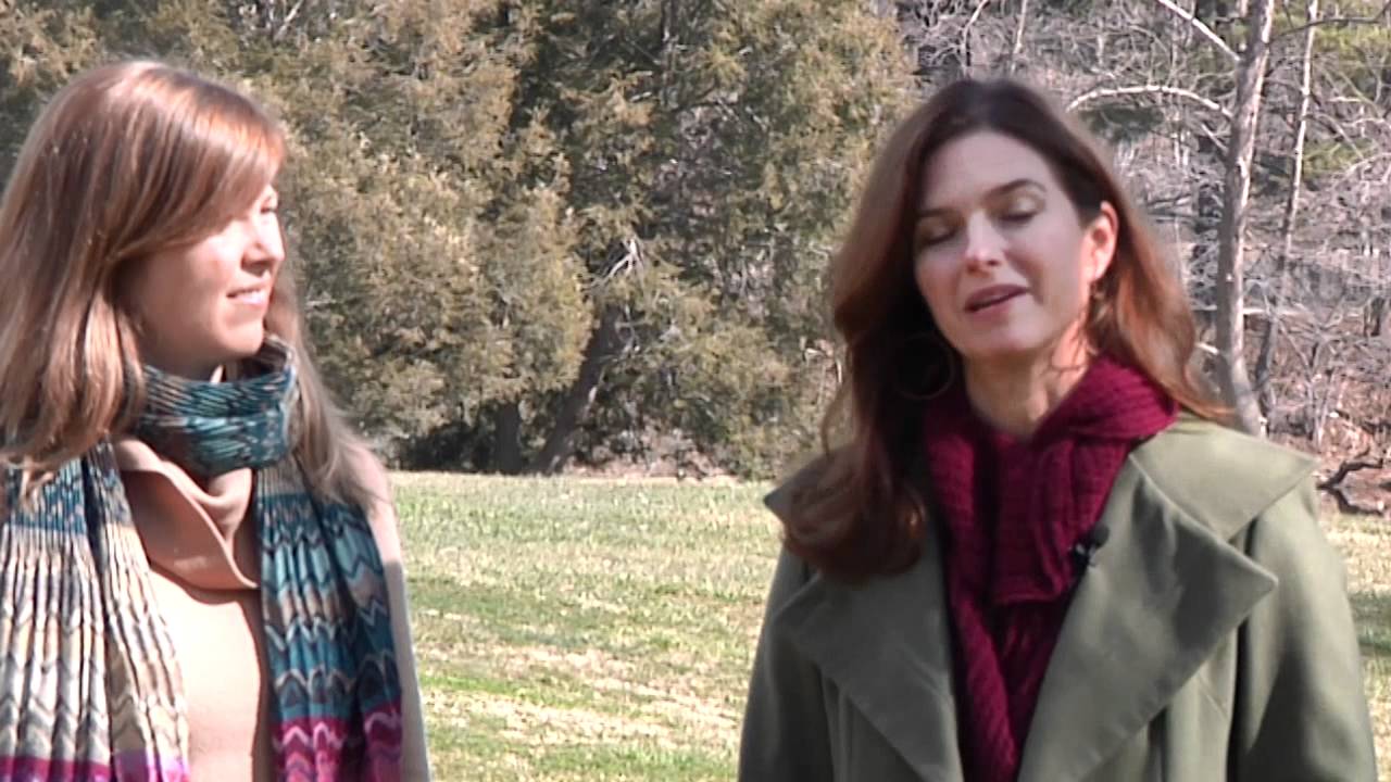 LEAF - Lake Eden Arts Festival