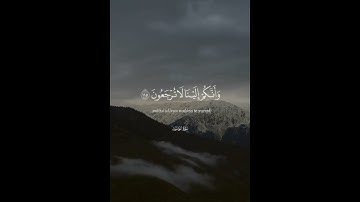 🤍#قرآن #quran #اكسبلور #explore #قران_كريم#اكسبلور_فولو #explorepage #سورة_البقرة #اسلام_صبحي