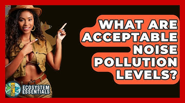What Are Acceptable Noise Pollution Levels? - Ecosystem Essentials