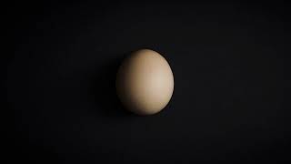 egg.mp4