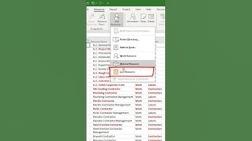 How to create budget cost resources in MS Project Pro?