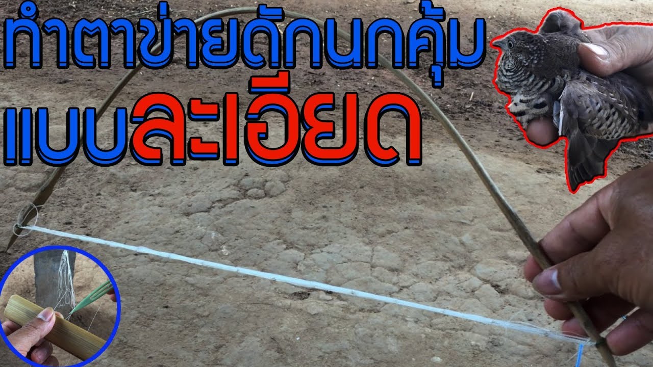 EP.1 สอนสานตาข่ายดักนกคุ้ม(ซิงนกคุ้ม) พร้อมอธิบายทุกขั้นตอน | ดูจบทำได้เลย!!
