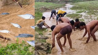 चढने वाली मछली पकड़ने का अनोखा तरीका | पहिला बारिश चढणीचे_मासे | Monsoon fishing | River Net fishing