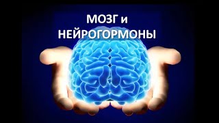 Мозг и нейрогормоны