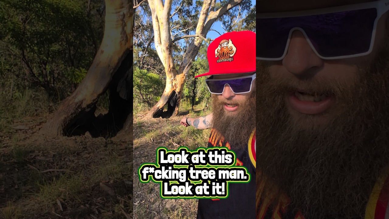 Сгоревший и пустой — но всё ещё живой! 🌳🪾🌲