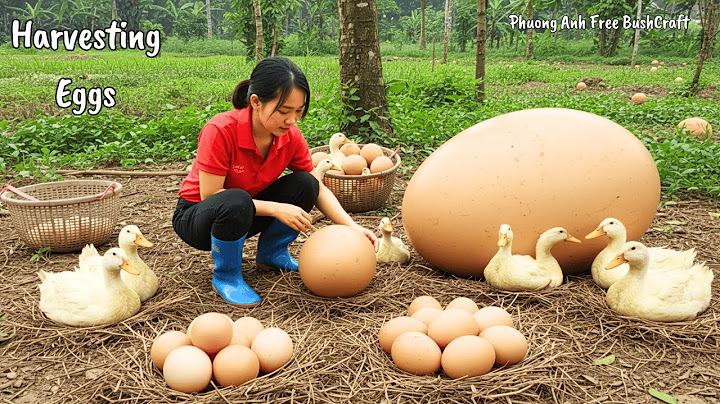 Harvest 1000 Duck Eggs And Chickens In Chicken Farm Go To Countryside Market Sell For Villager
