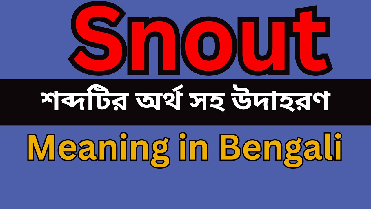 Snout Meaning In Bengali /Snout mane ki
