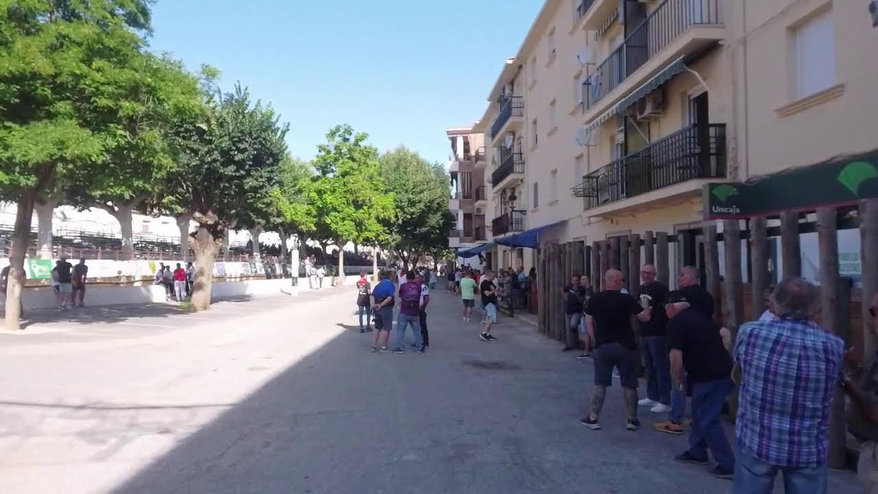 Yuncos Congreso Nacional Toro de cuerda XIX