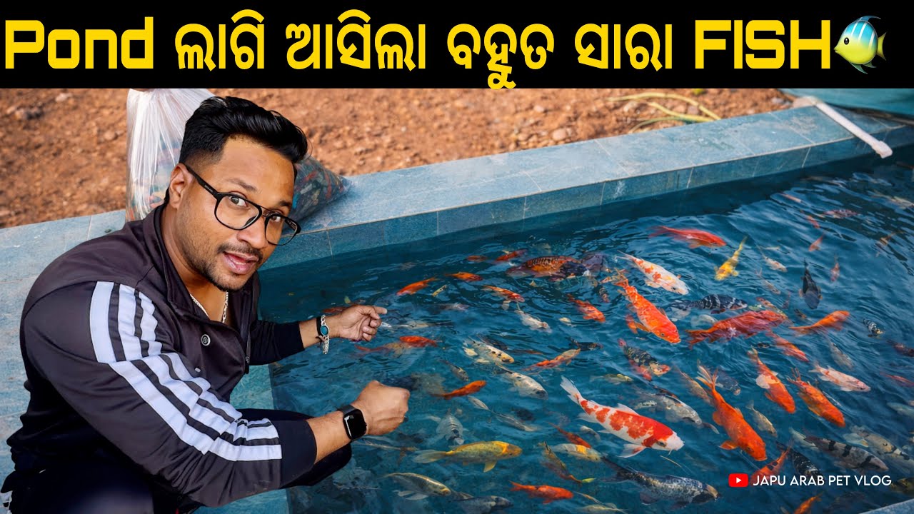 MINI ZOO ର Pond ଲାଗି ଆସିଲା ବହୁତ ସାରା ବଡ ବଡ FISH 😍😍