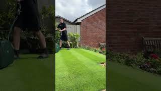 Cutting the lawn at 10mm #lawn #lawncare