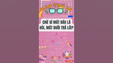 Câu Đố Vui Nhộn: Thử Thách Tư Duy Logic Của Bạn p19 | Cao Thủ IQ #caudovui  #dovui  #quiz #giaitri