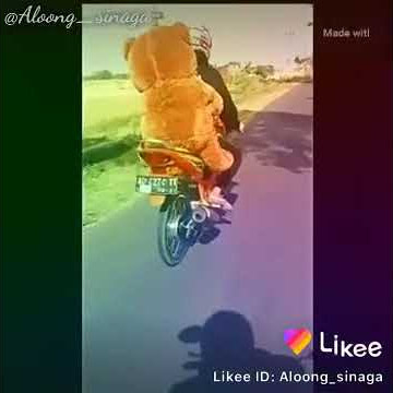 Story wa bawa boneka buat ultah pacar