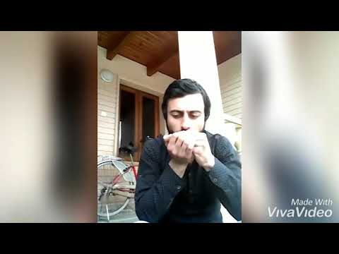 hallelujah ჰარმონიკაზე