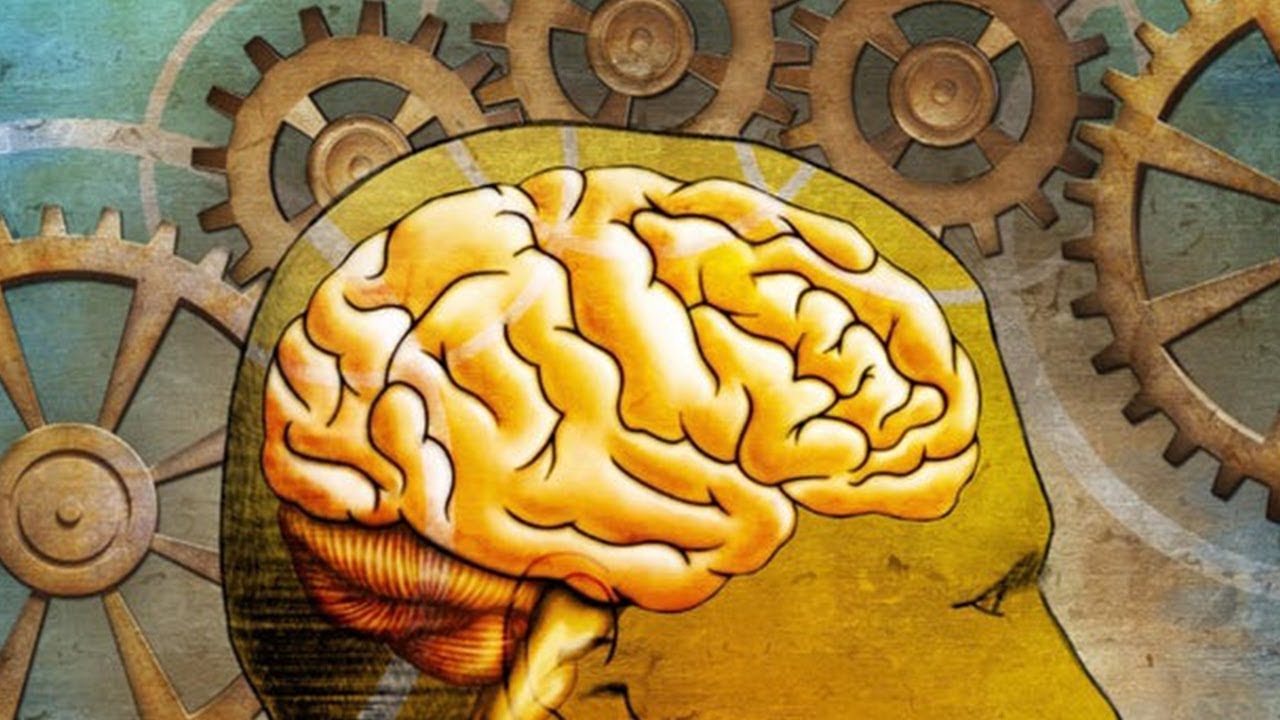 Has more brains. Мозг картинки для презентации. Хранилище знаний о языках мозг. Мозг перед выбором. Мозг блокирует негативные воспоминания.