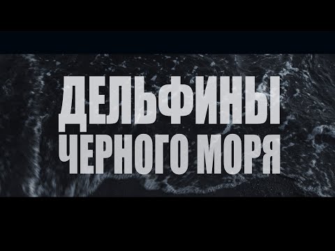 Дельфины Черного моря. Документальный фильм 2019 г.