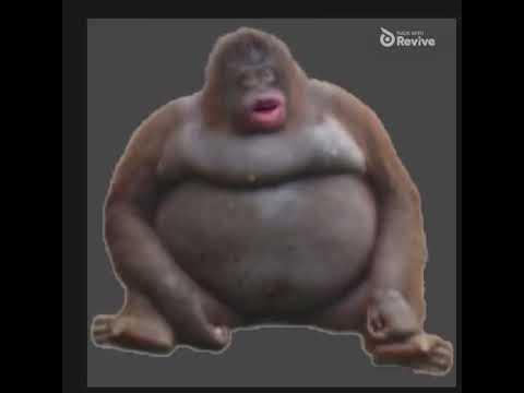 Skididop - YouTube