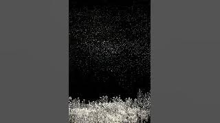 Adrián Berenguer - Little Things