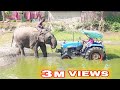 Amazing video! Tractor vs Elephant || Tractor stuck in mud after Elephant pulling tractor || Tractor