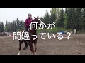 逆転の乗馬ライフ（８−６）〜半減却、大事なのは馬との約束