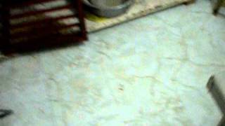 DSCN6325.AVI