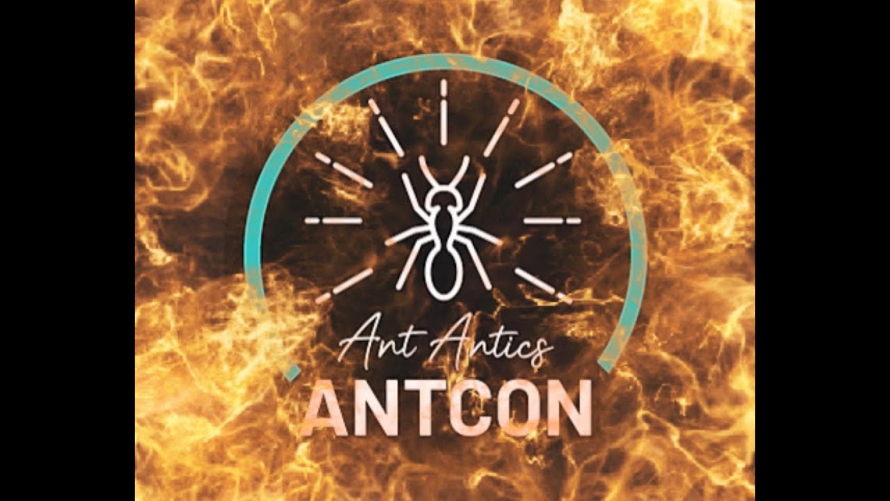 I went to ANTCON 2025 and got some AWESOME ants - YouTube