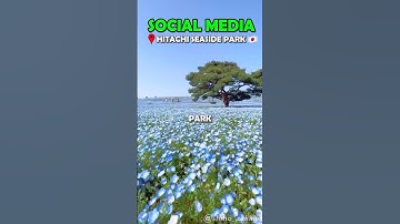 Never Trust Social Media Traveling!