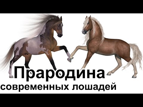 Прародина современных домашних лошадей и их роль в распространении индоевропейских языков