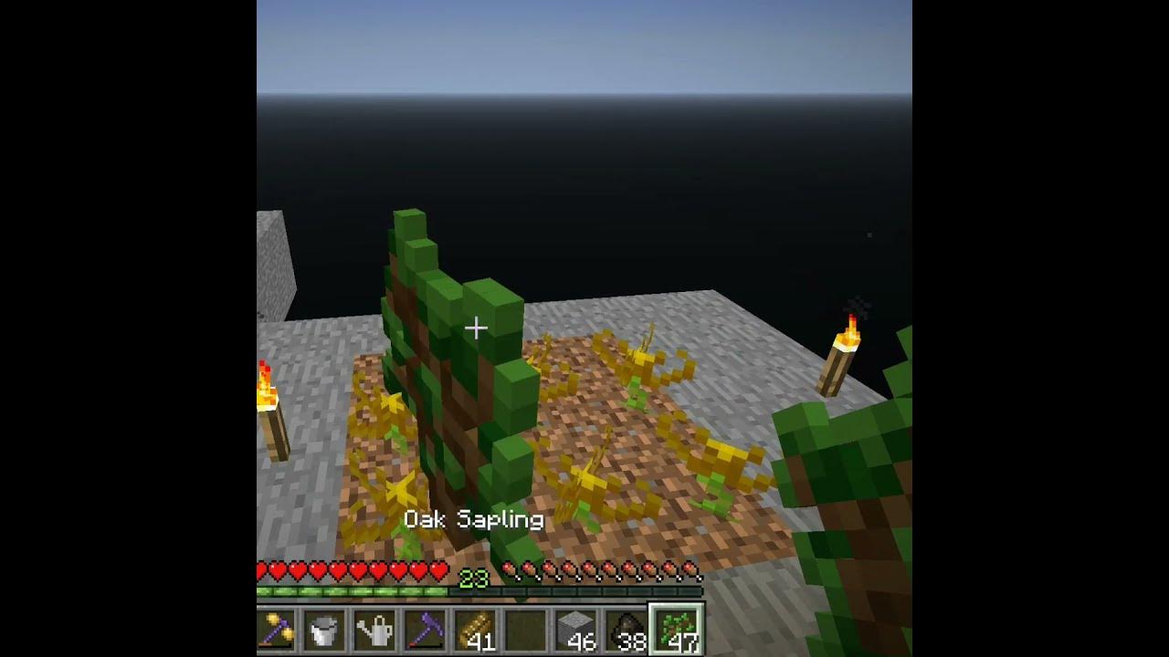 FTB Infinity Evolved Skyblock Getting bees at early game YouTube