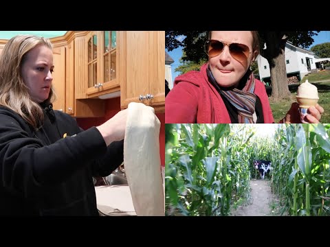 All The Fall Feels | shamelessvlog