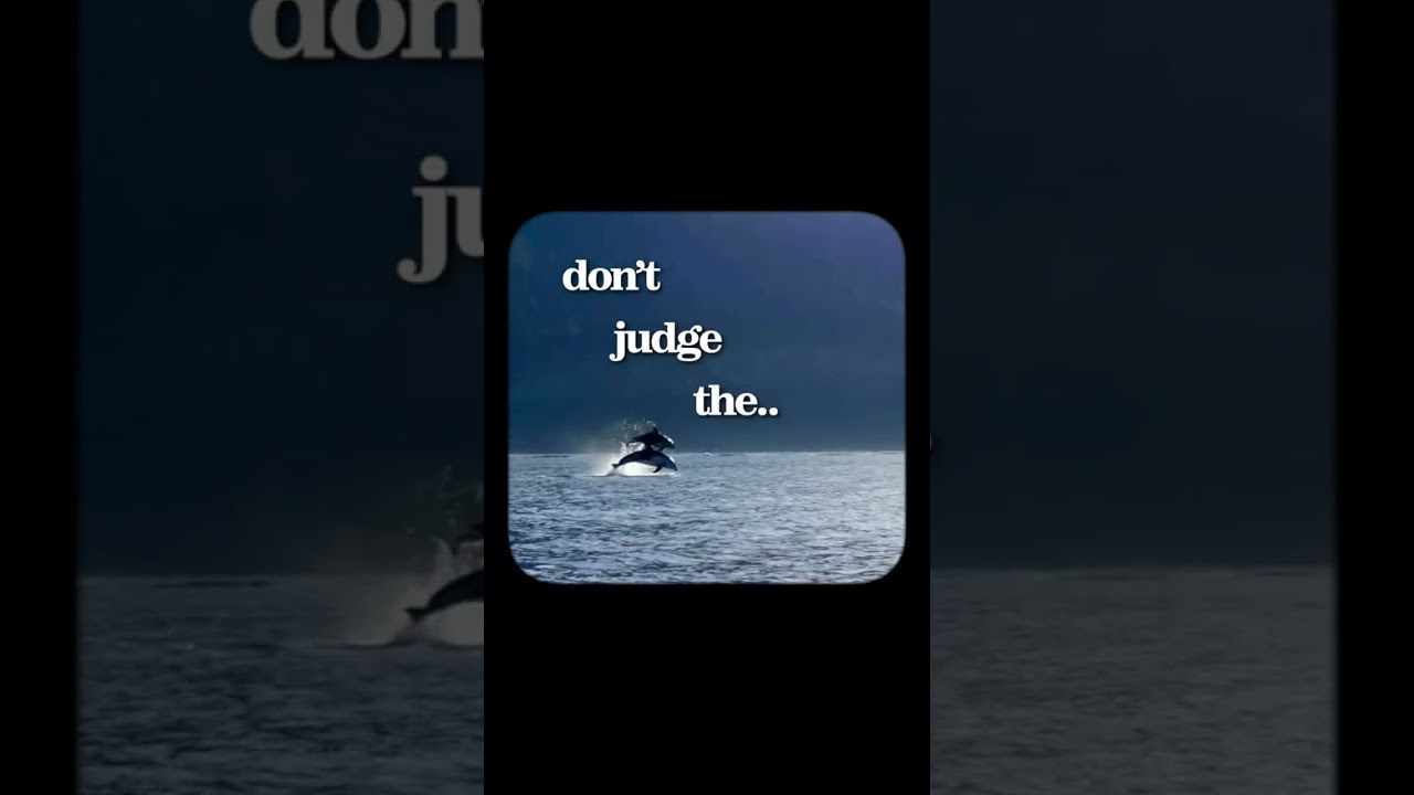 don’t judge the… 