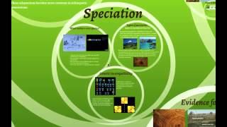 Ecology Natural selection and Evolution