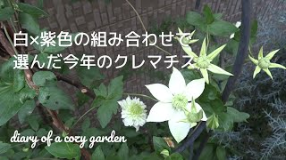 クレマチスの咲く風景を楽しみたいな／白×紫の花色の組み合わせで選んだクレマチス／冬の脇道の植栽に堆肥を入れて春の準備♫／ガーデニング／庭造り／クレマチス