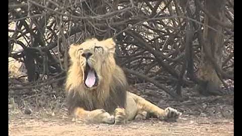 VCP-Std7-Sem2-Unit1-Act5A-Epi-74-1