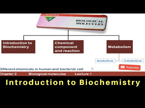 Introduction to biochemistry | 1st year Biology | Chapter 2 | Lecture 1
